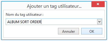 The Add user tags window