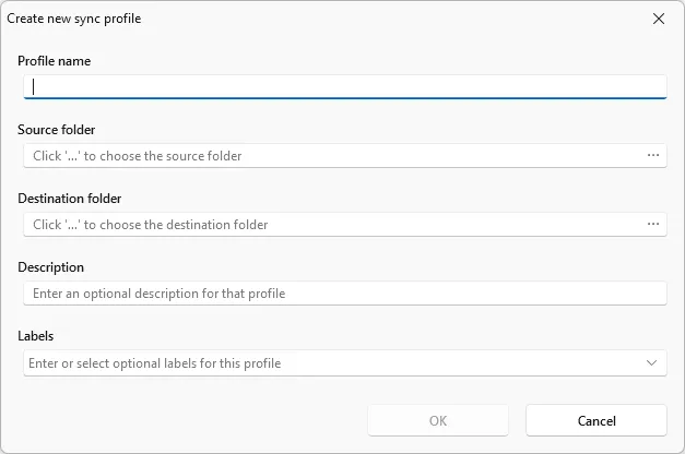Window for creating a new synchronization profile